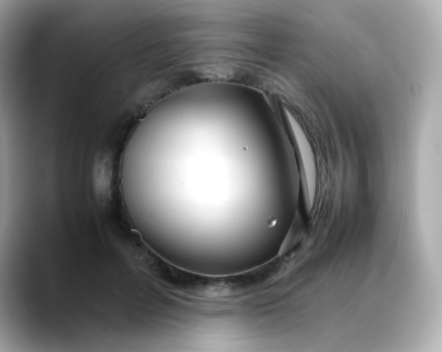 X0000088420600200706051213