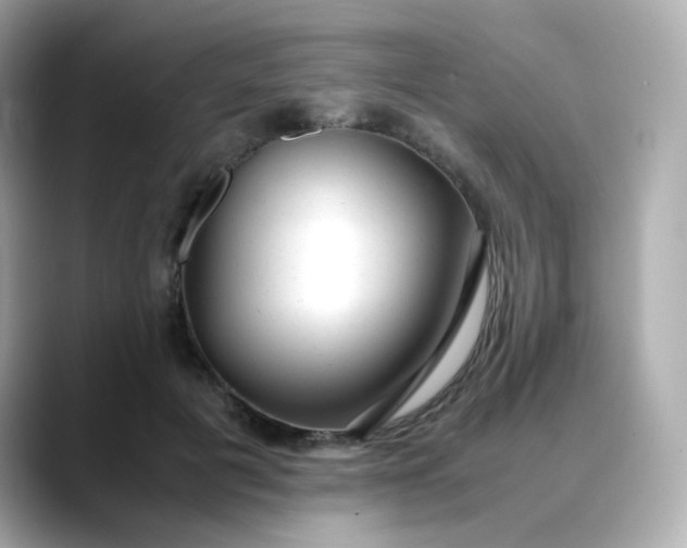 X0000088420601200706051213