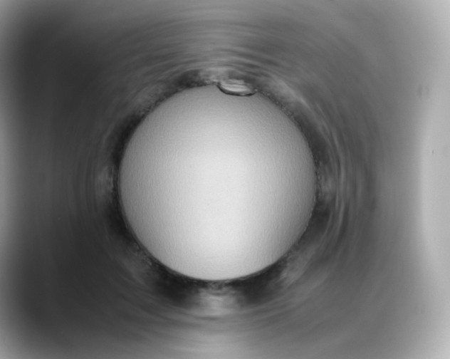 X0000088420603200706051213