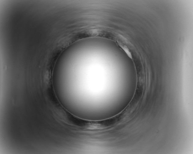 X0000088420605200706051213
