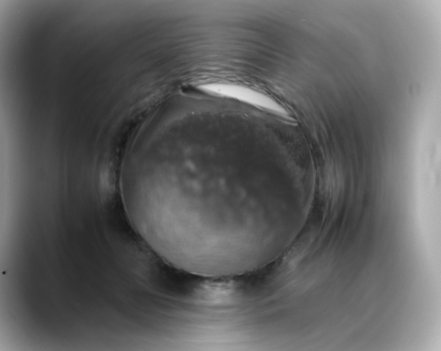X0000088420606200706051213