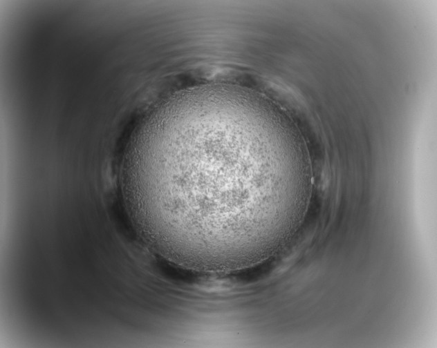 X0000088420607200706051213