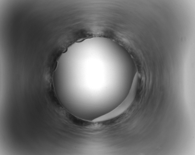X0000088420609200706051213
