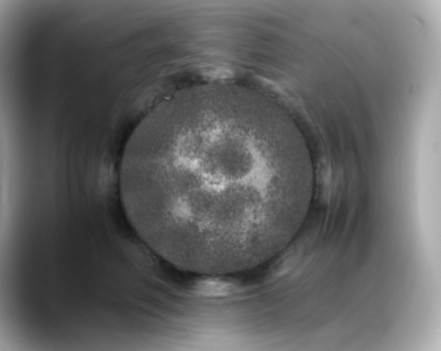 X0000088420614200706051213