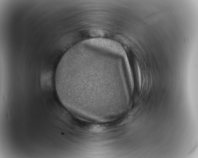 X0000088420616200706051213