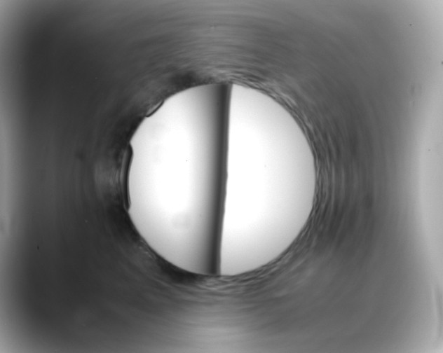 X0000088420617200706051213