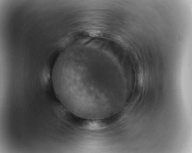 X0000088420618200706051213