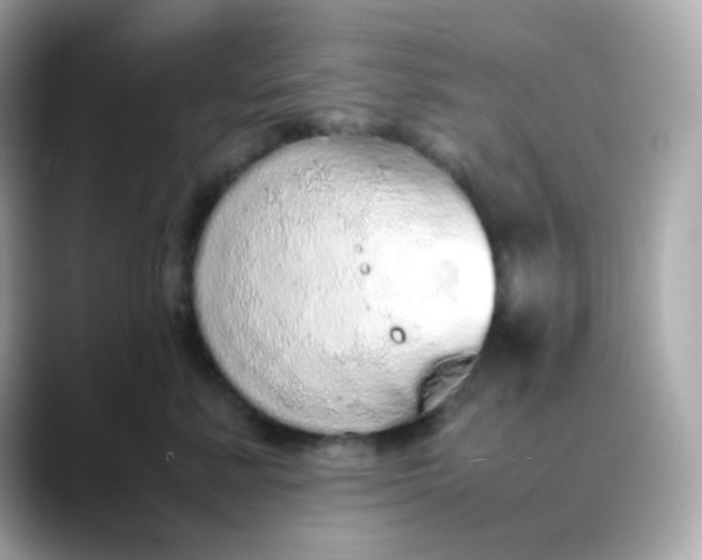 X0000088420619200706051213