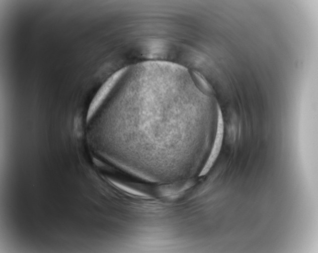 X0000088420620200706051213