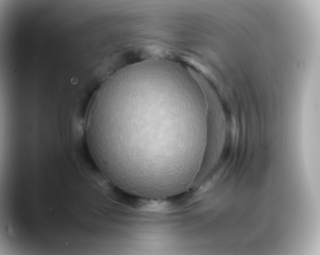 X0000088420621200706051213