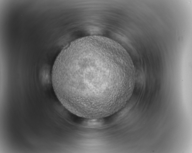 X0000088420622200706051213