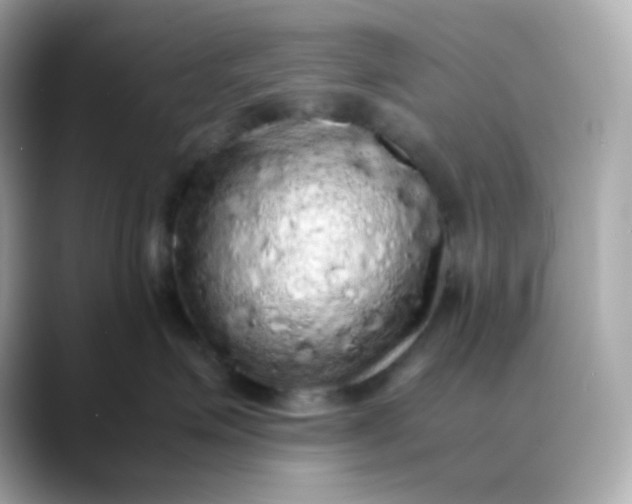 X0000088420623200706051213