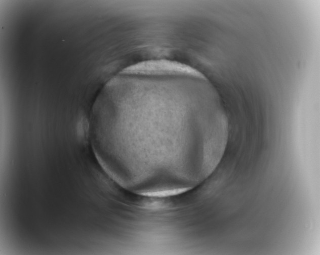 X0000088420624200706051213
