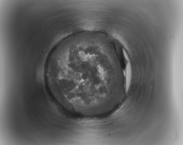 X0000088420626200706051212