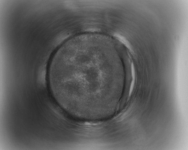 X0000088420627200706051212
