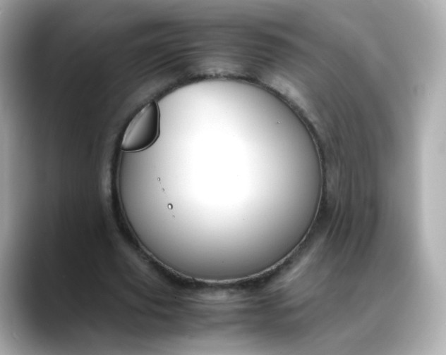 X0000088420629200706051212