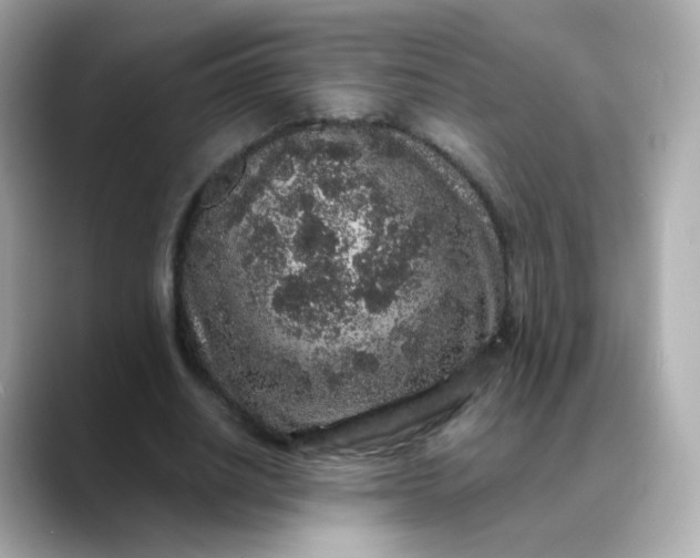 X0000088420630200706051212