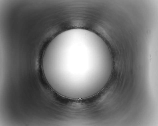 X0000088420635200706051212