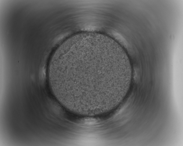 X0000088420636200706051212