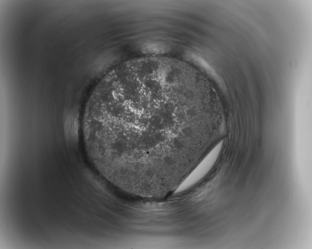 X0000088420637200706051212