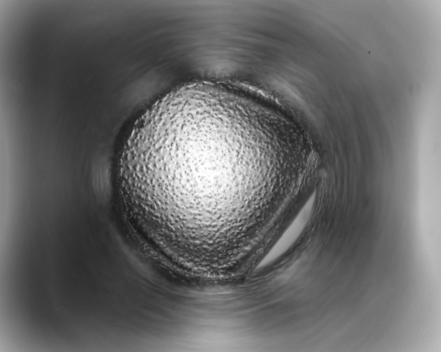X0000088420638200706051212