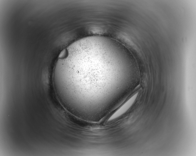 X0000088420639200706051212