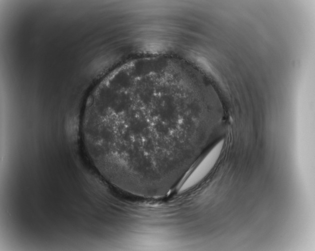 X0000088420640200706051212