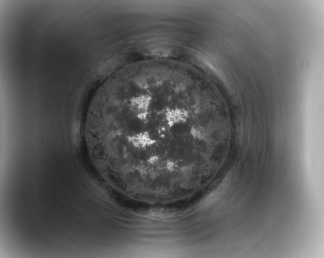X0000088420641200706051212