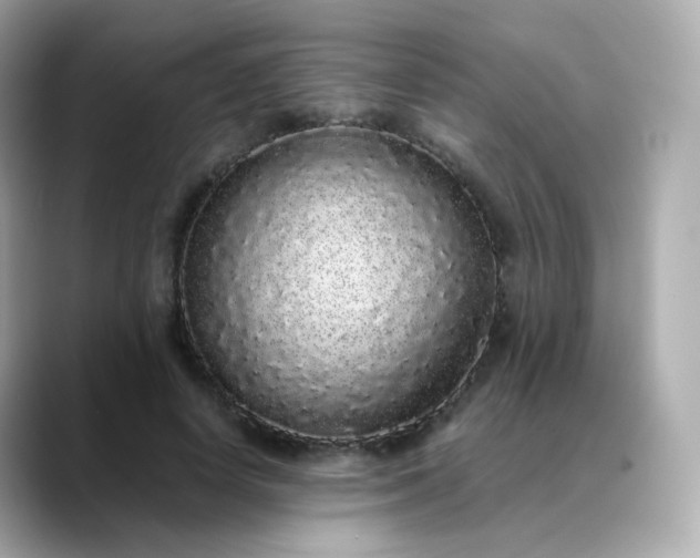 X0000088420642200706051212