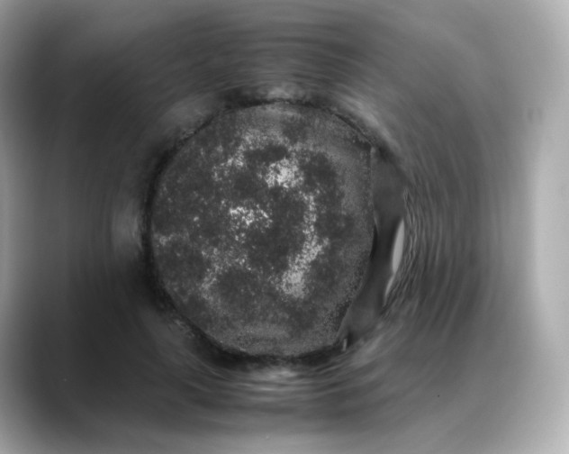 X0000088420643200706051212