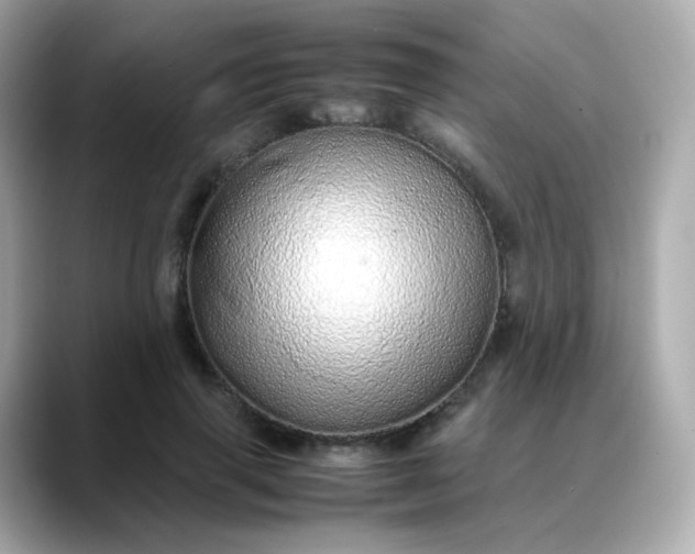 X0000088420645200706051212