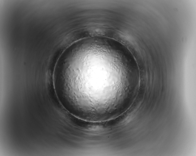 X0000088420649200706051212