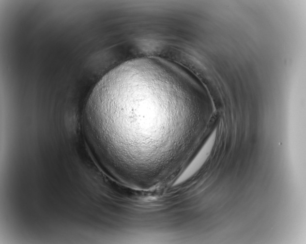 X0000088420651200706051212