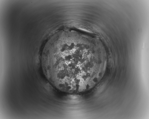 X0000088420654200706051212