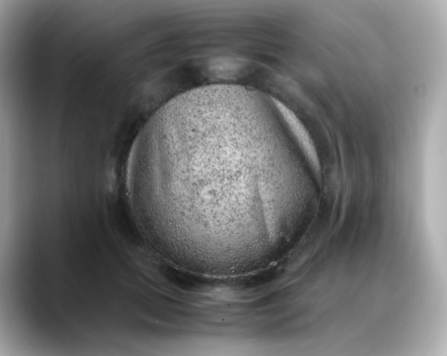 X0000088420655200706051212