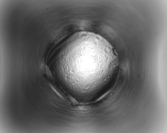 X0000088420657200706051212