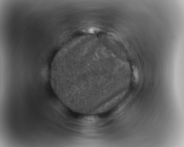 X0000088420659200706051212