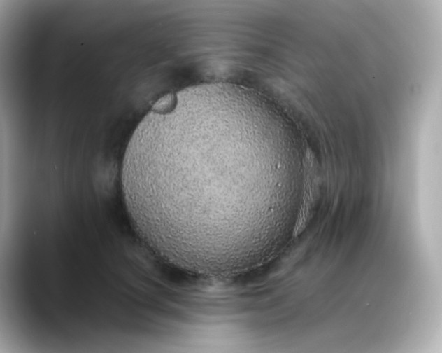 X0000088420660200706051212