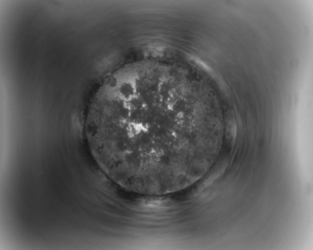 X0000088420661200706051212
