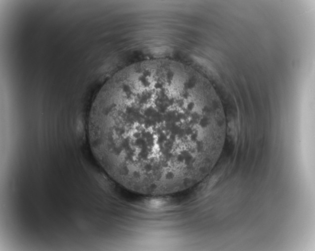 X0000088420662200706051212