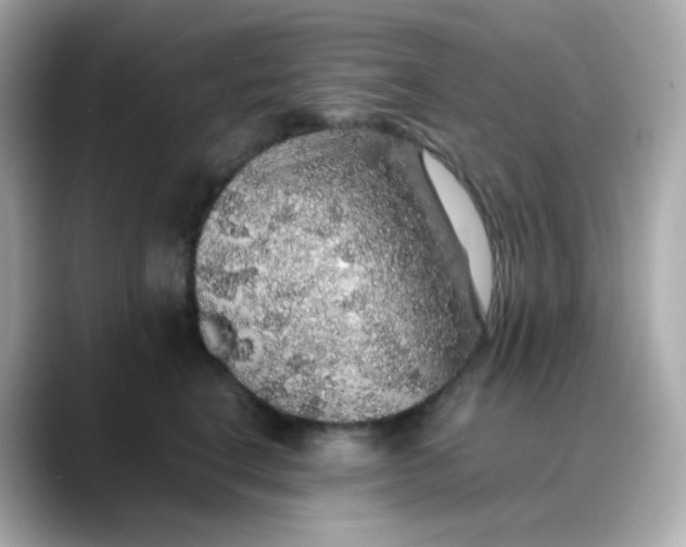 X0000088420664200706051212