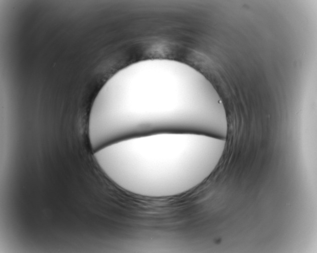 X0000088420665200706051212