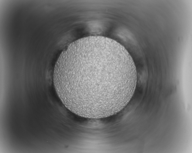 X0000088420666200706051212