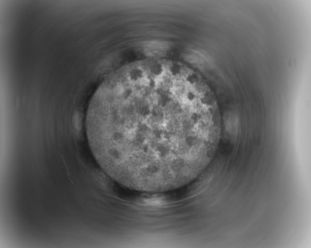 X0000088420667200706051212