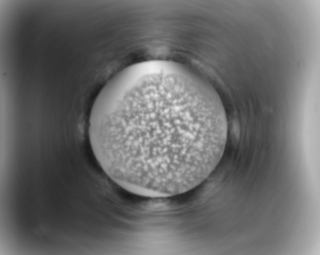 X0000088420668200706051212