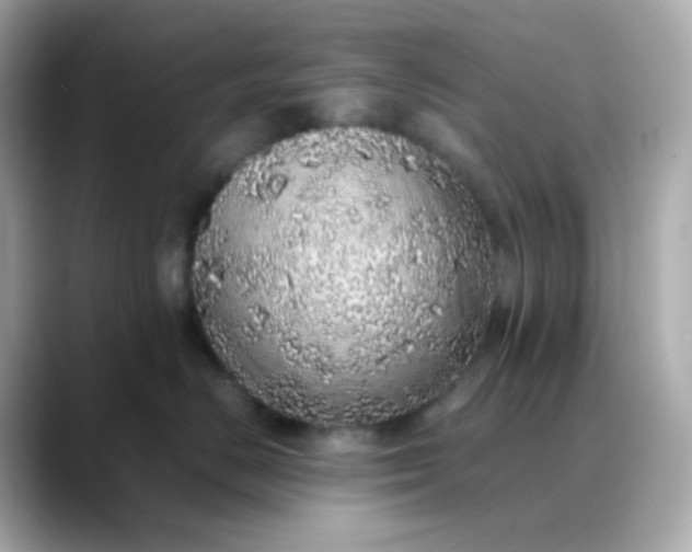 X0000088420670200706051213