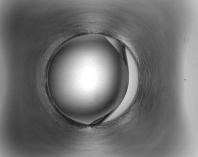 X0000088420673200706051212