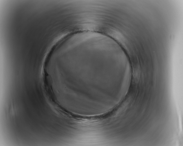 X0000088420674200706051212