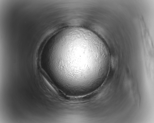 X0000088420675200706051212