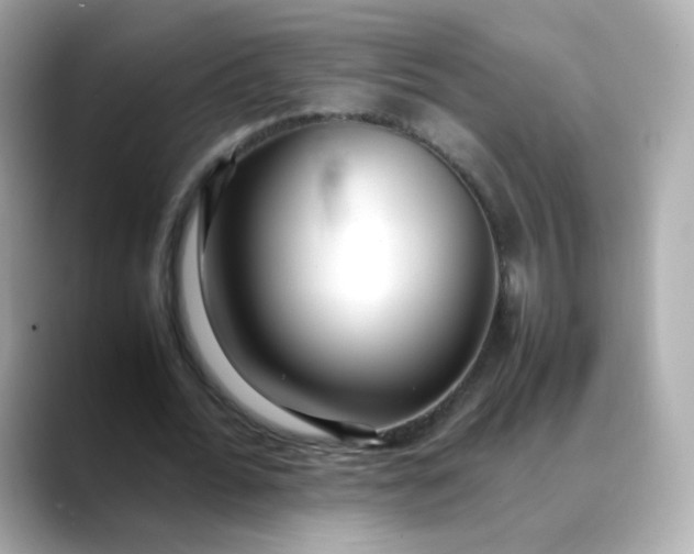 X0000088420676200706051212